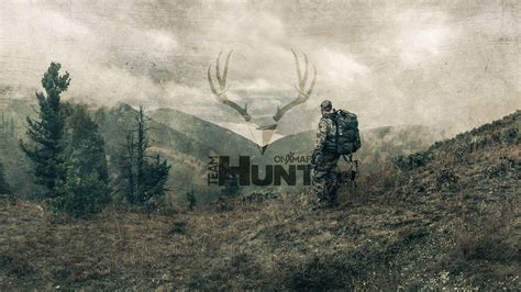 4k hunt|Hunt Stock Footage Videos Download